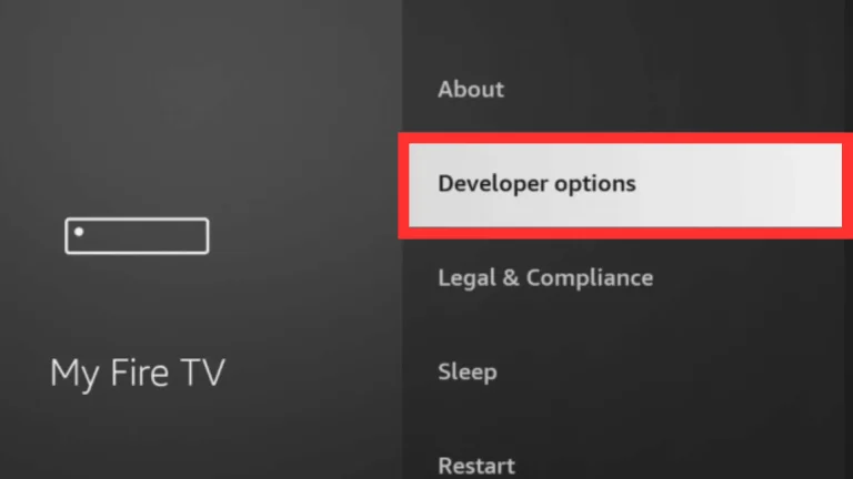 Developer options